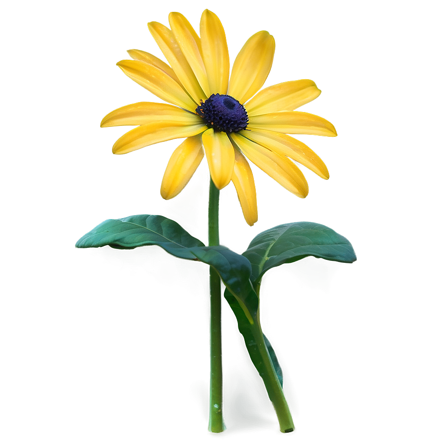 Yellow Daisy With Leaves Png 22 PNG image