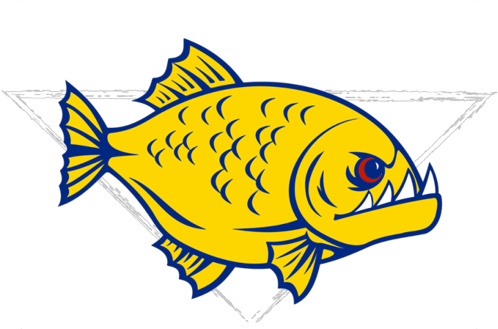 Yellow Fish Cartoon Artwork PNG image