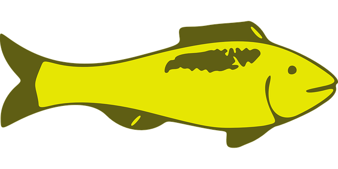 Yellow Fish Graphic PNG image