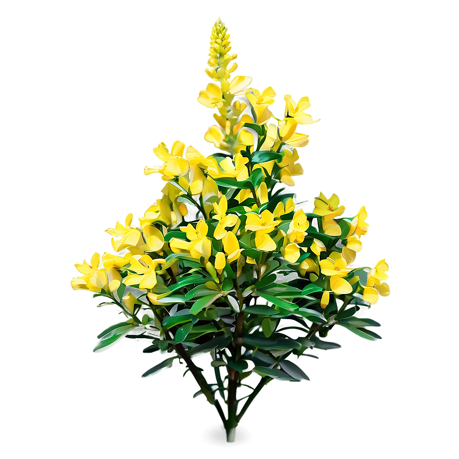 Yellow Flower Bush Png 06122024 PNG image