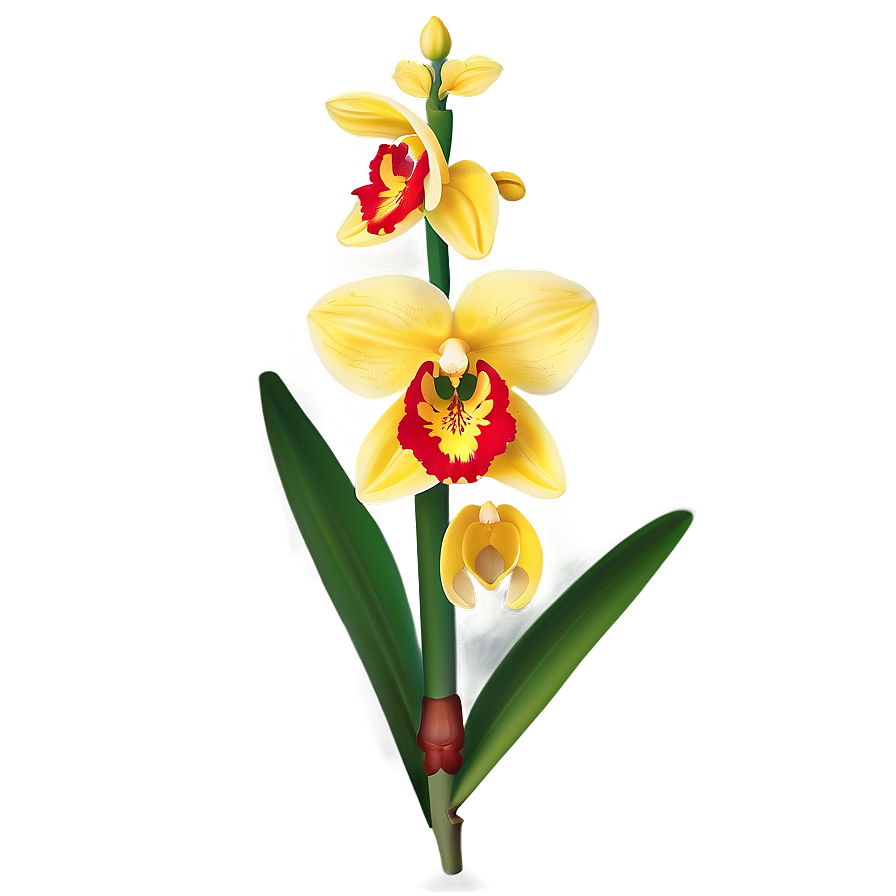 Yellow Orchid Png Ymk PNG image