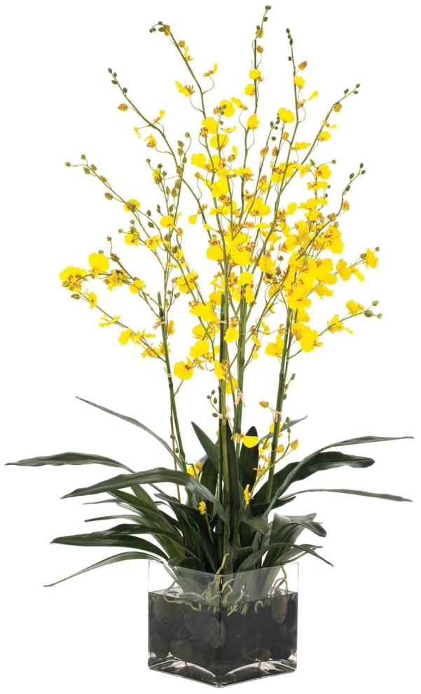 Yellow Orchidsin Glass Vase PNG image