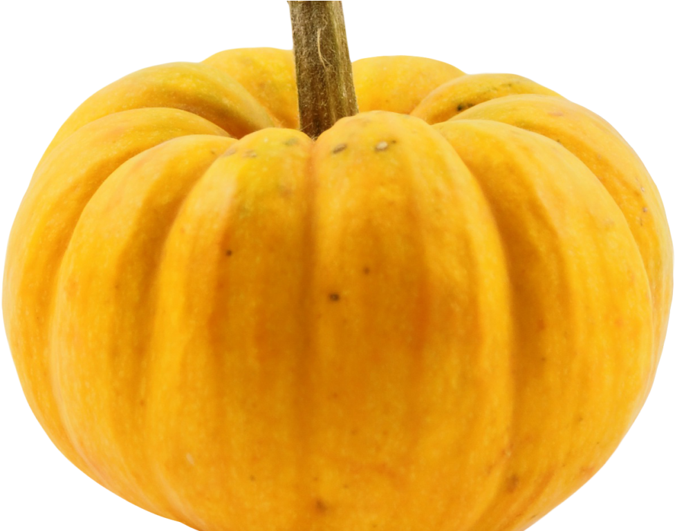Yellow Pumpkin Squash Isolated PNG image
