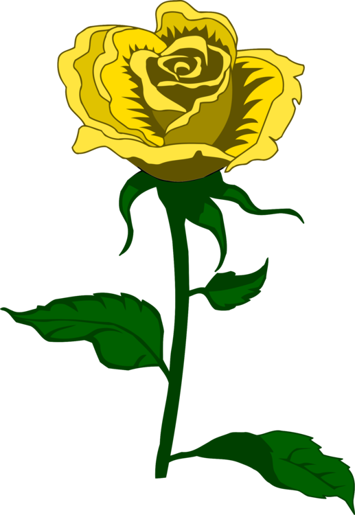Yellow Rose Illustration.png PNG image