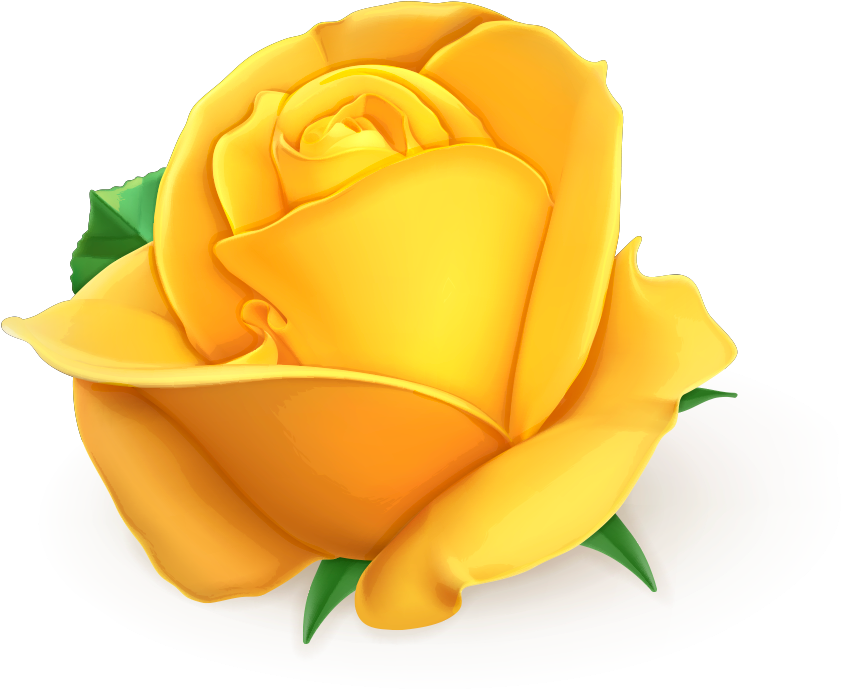 Yellow Rose Vector Art PNG image