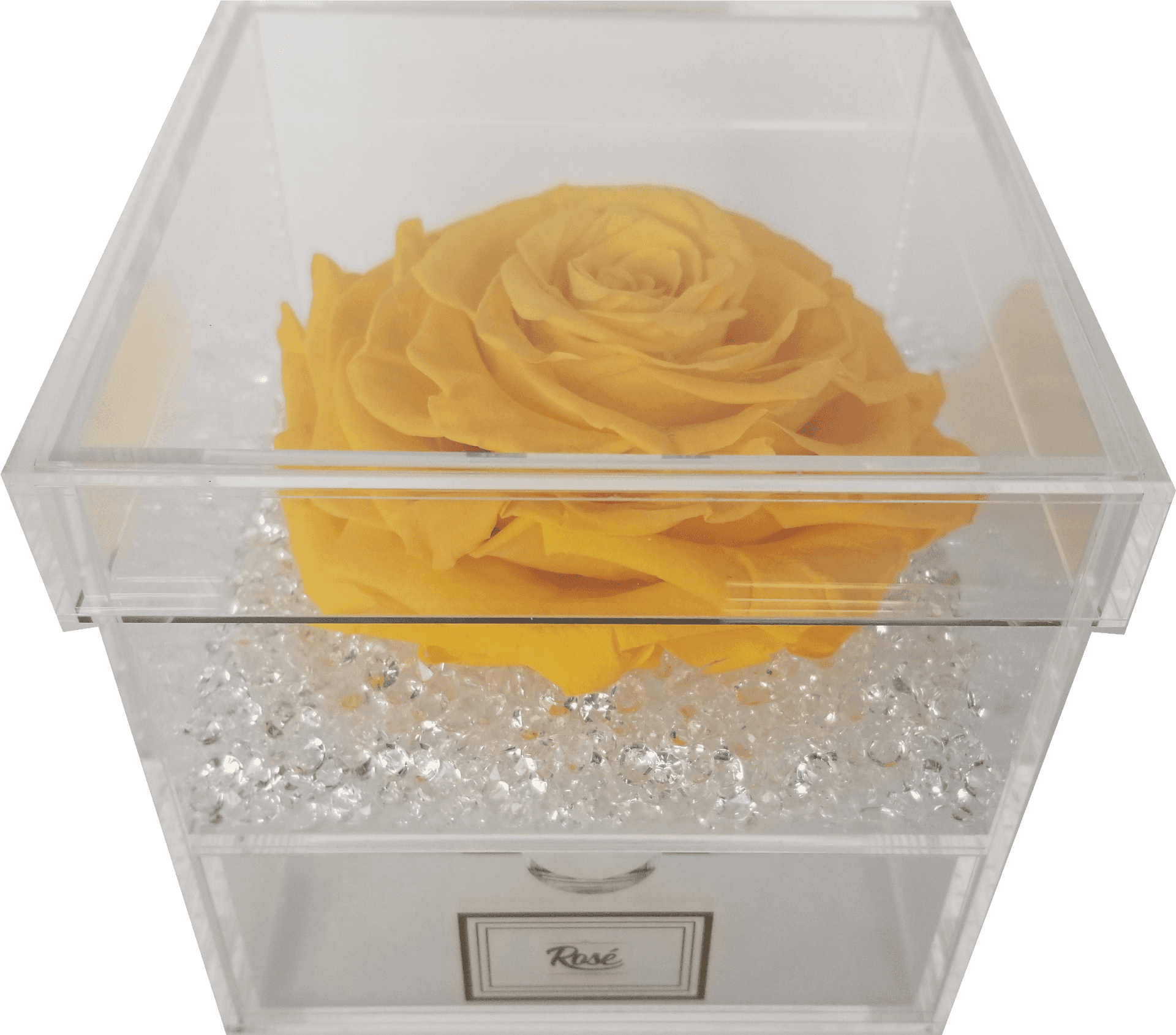 Yellow Rosein Acrylic Display Box PNG image