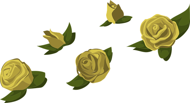Yellow Roses Black Background PNG image