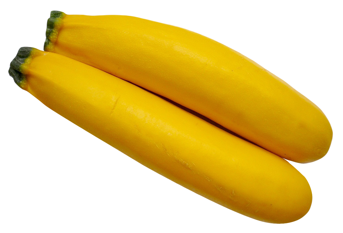 Yellow Squash Pair PNG image