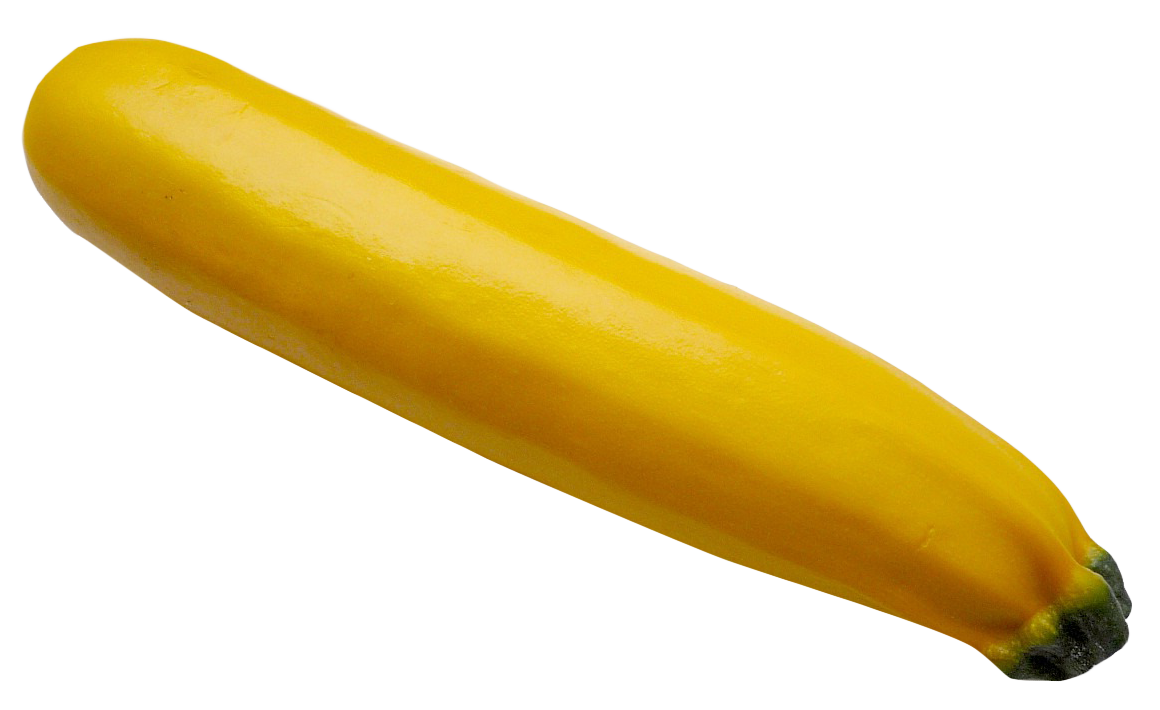 Yellow Squash Single Isolated PNG image