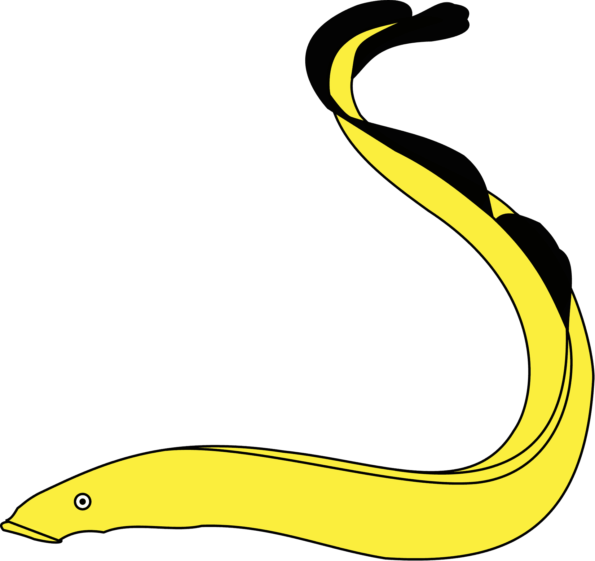 Yellowand Black Eel Illustration.png PNG image