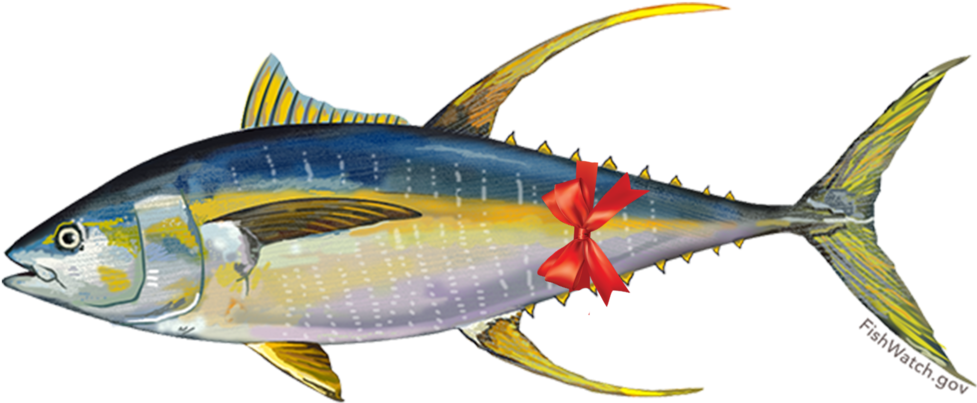 Yellowfin Tuna Illustrationwith Bow PNG image