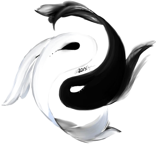 Yin Yang Koi Fish Artwork PNG image