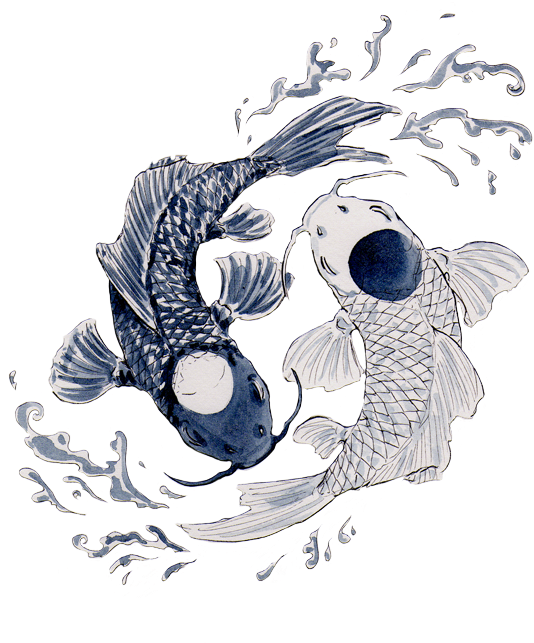 Yin Yang Koi Fish Illustration PNG image