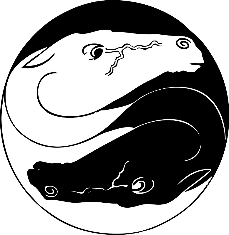 Yin Yang Lizards_ Vector Art PNG image