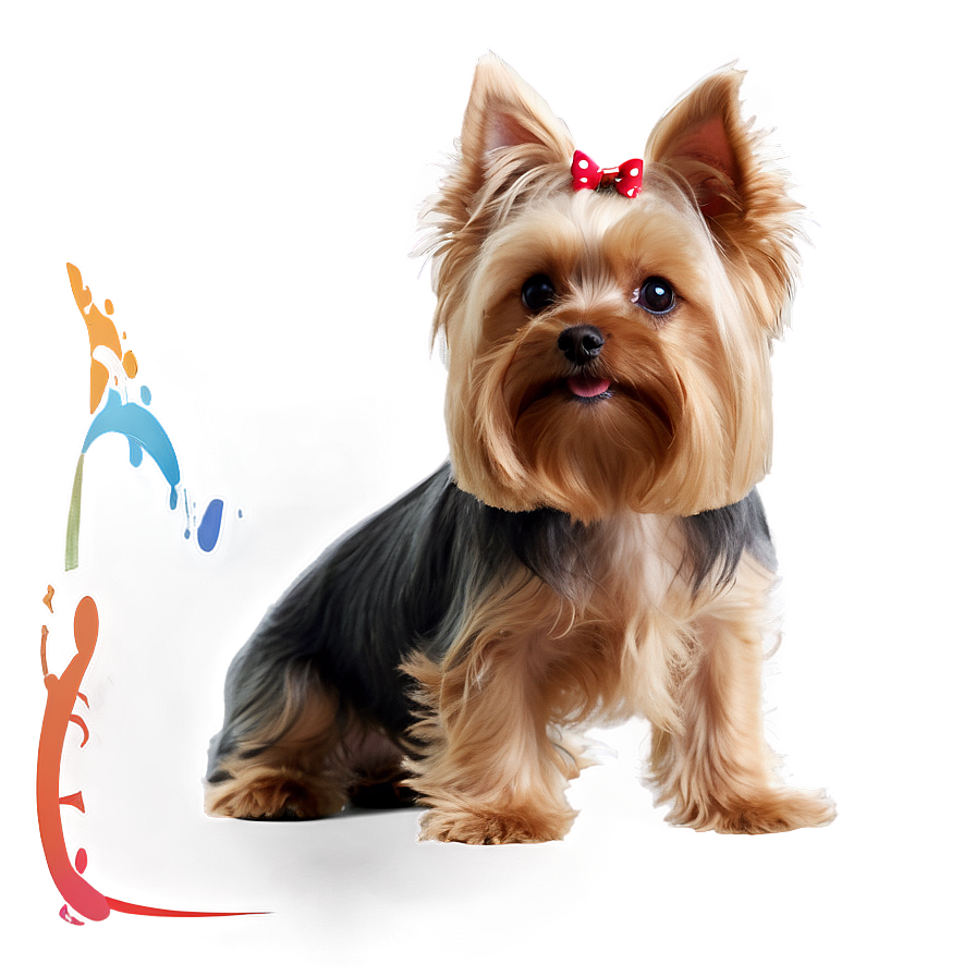 Yorkie Profile Png Lin PNG image