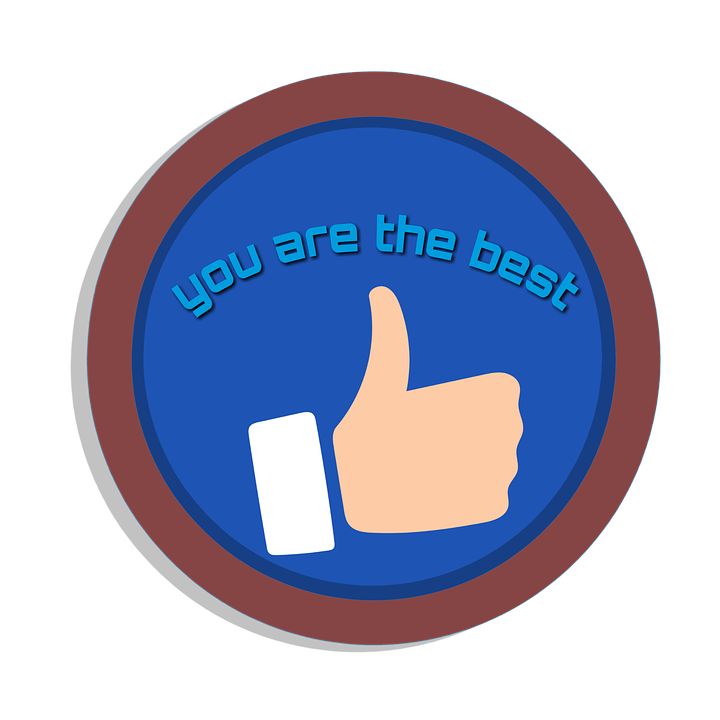 You Are The Best Appreciation Badge PNG image