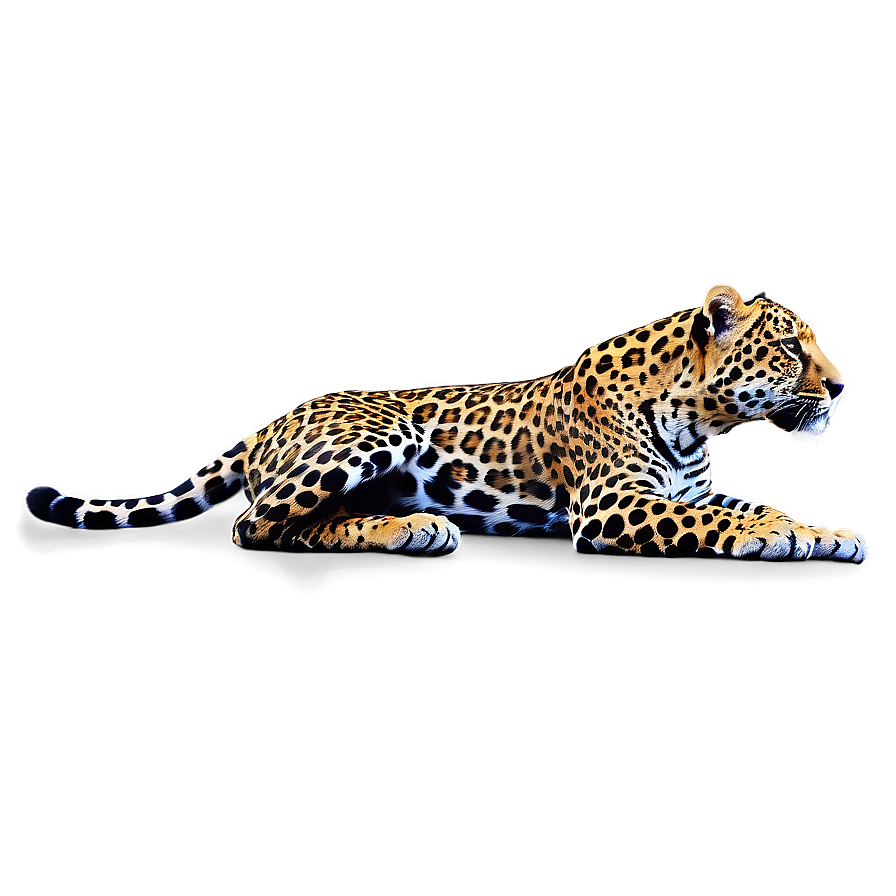 Young Jaguar Png 05212024 PNG image