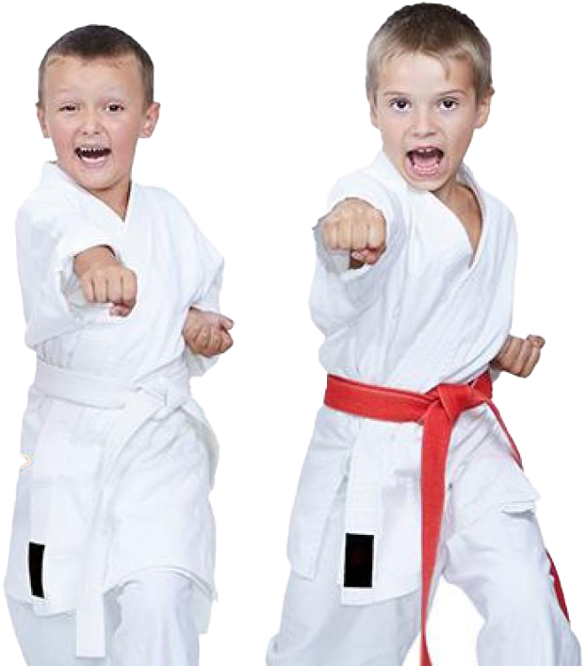 Young Karate Kids Practicing Punches PNG image