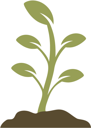 Young Plant Growing Illustration PNG image