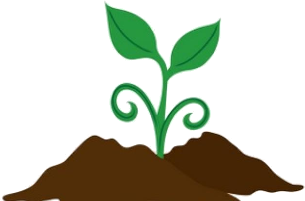 Young Plant Growing In Soil PNG image