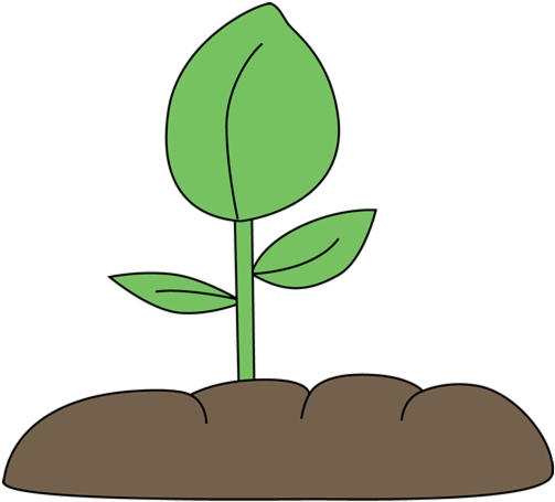 Young Plant Growingin Soil PNG image