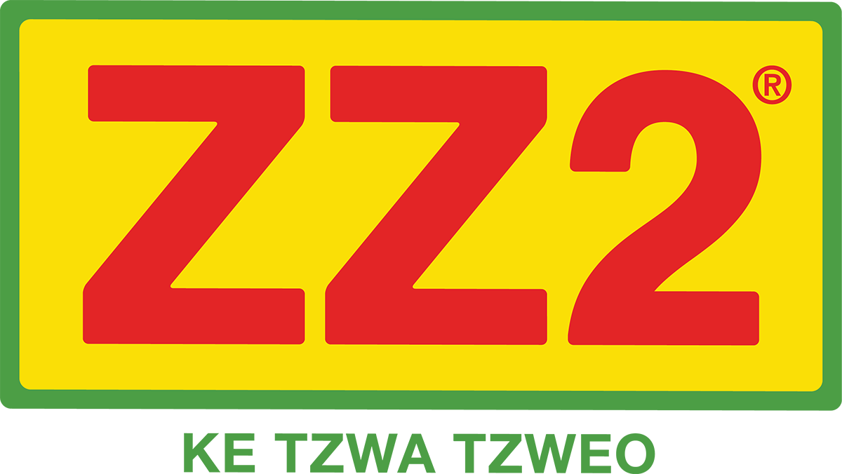 Z Z2 Brand Logo PNG image