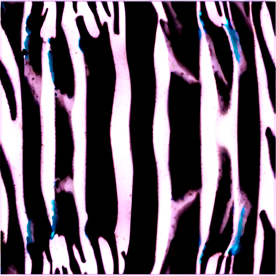 Zebra Print Png Xnf PNG image