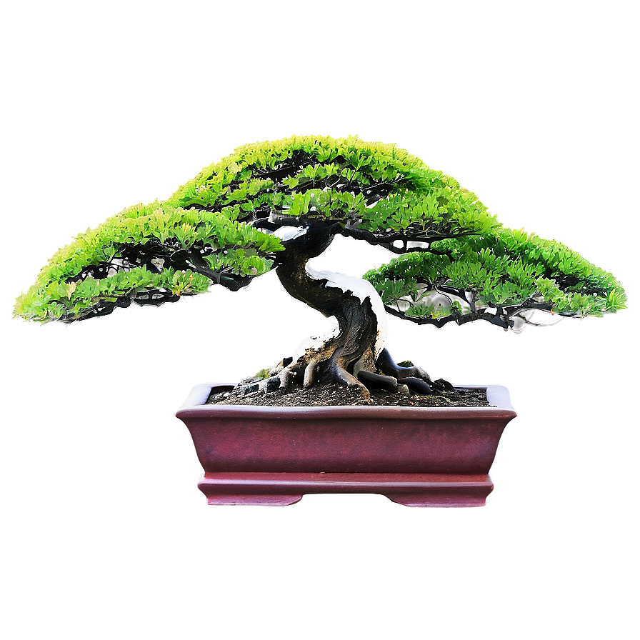 Zen Garden Bonsai Tree Png 06202024 PNG image