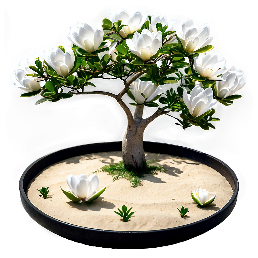 Zen Garden With Magnolia Tree Png Nlw PNG image