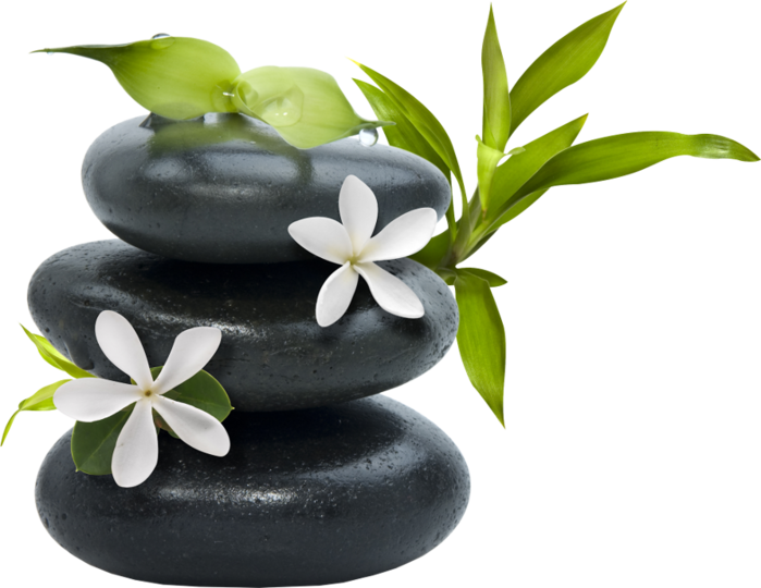 Zen Stones Green Leaves White Flowers PNG image