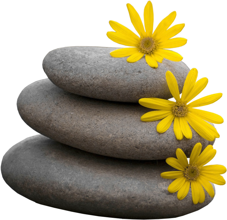 Zen Stones Yellow Flowers Balance PNG image