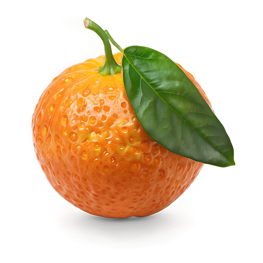 Zesty Clementine Png 98 PNG image