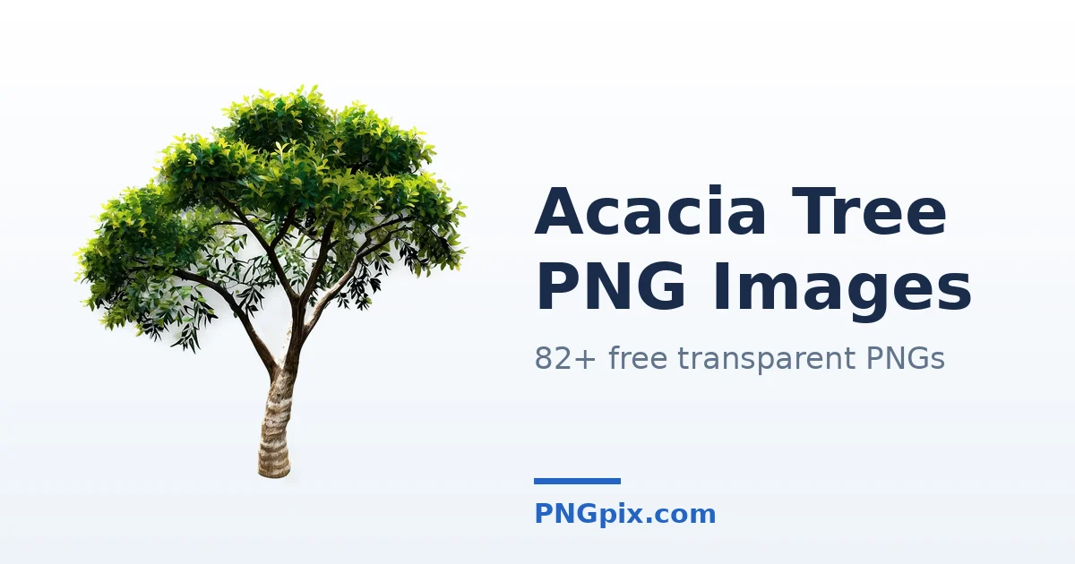 Acacia Tree PNG images