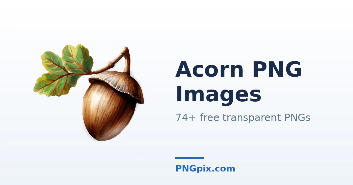 Acorn PNG images