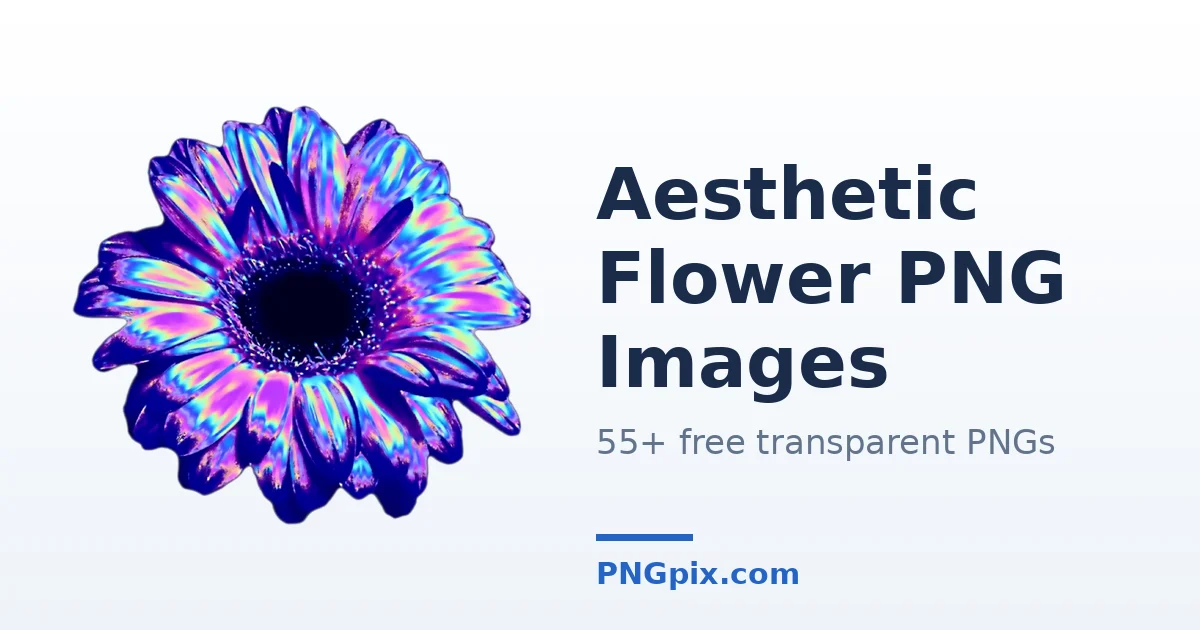 Aesthetic Flower PNG images