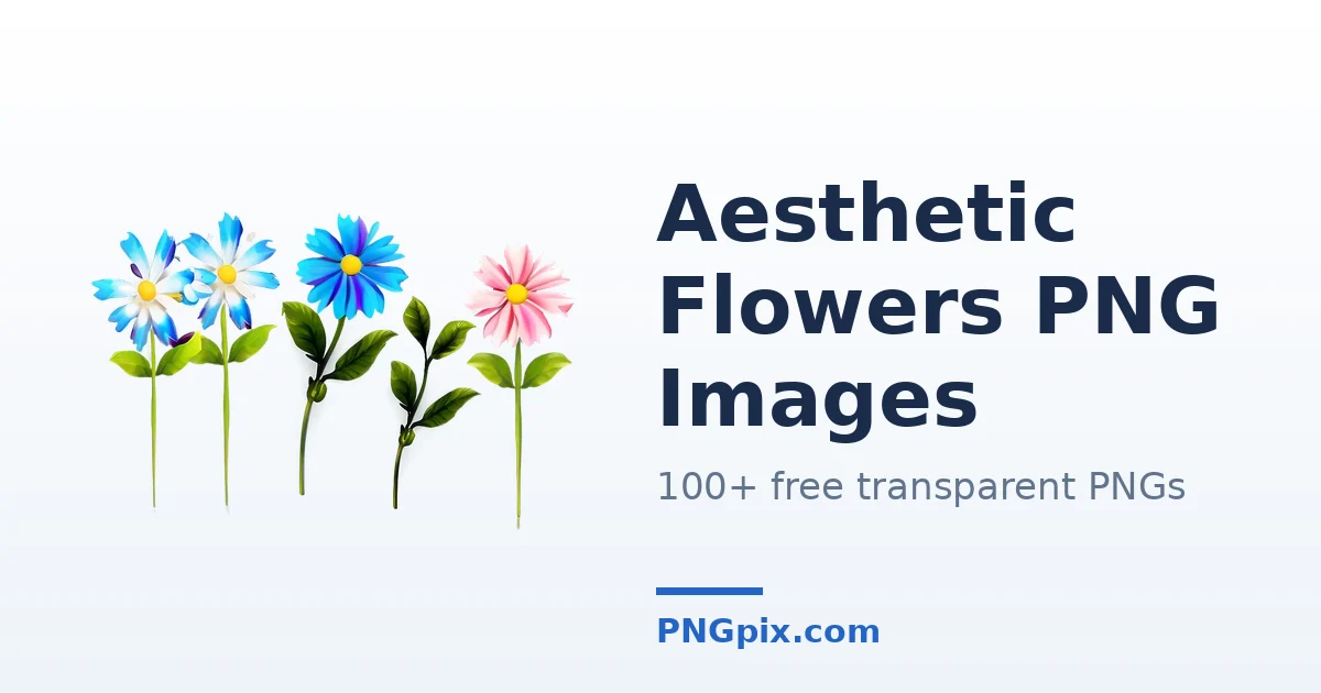 Aesthetic Flowers PNG images