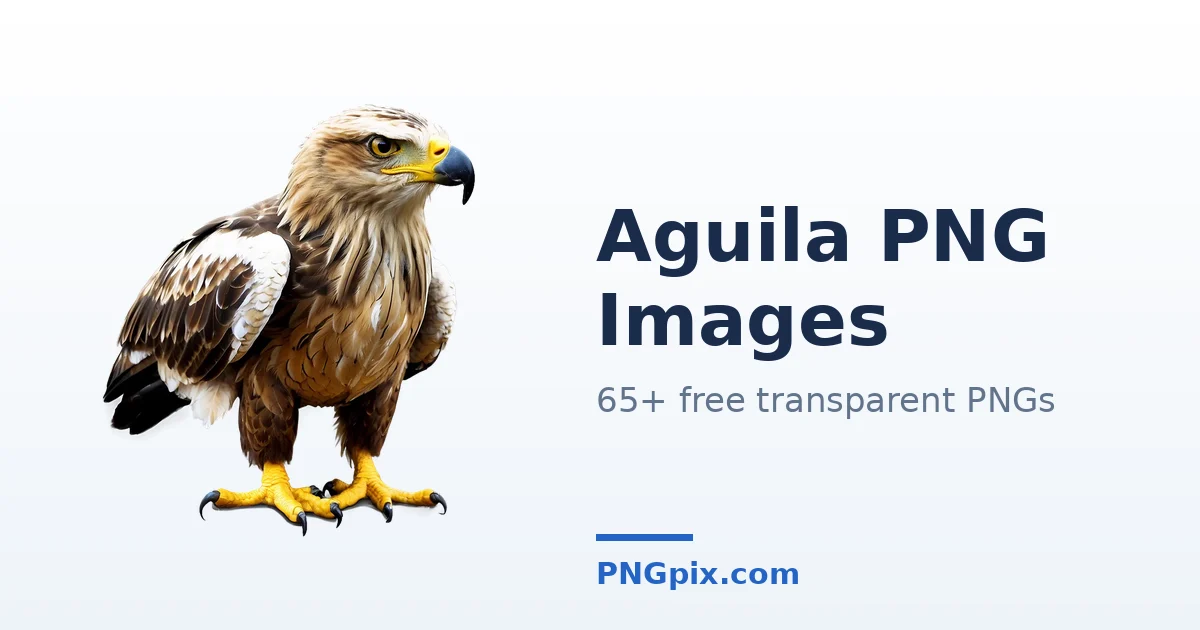 Aguila PNG images
