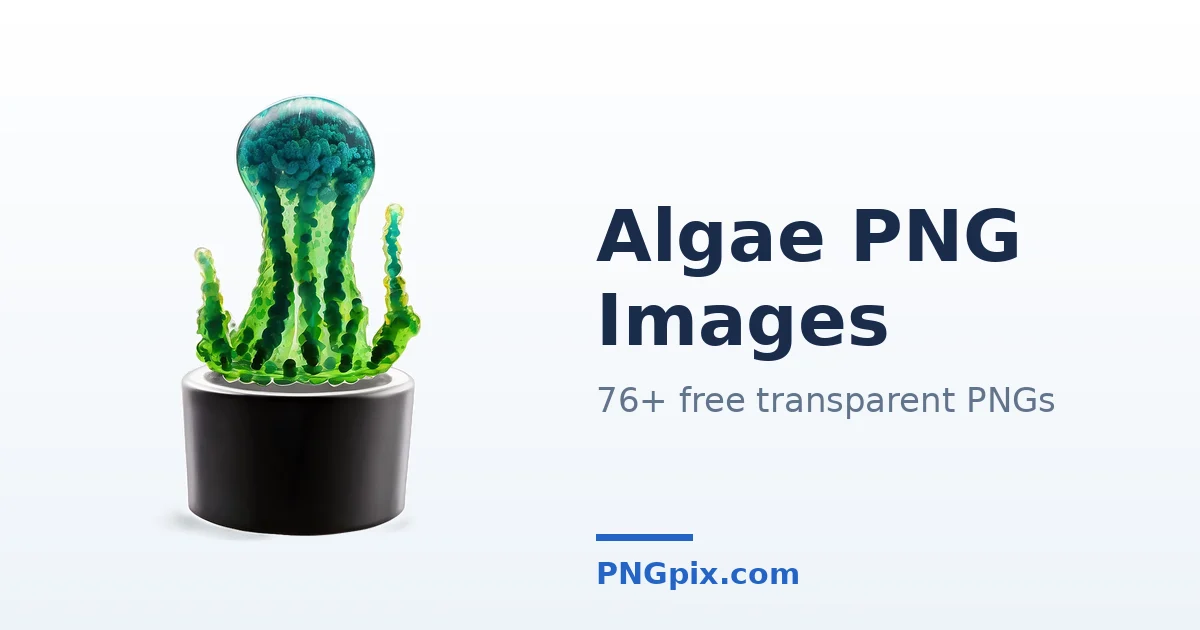 Algae PNG images
