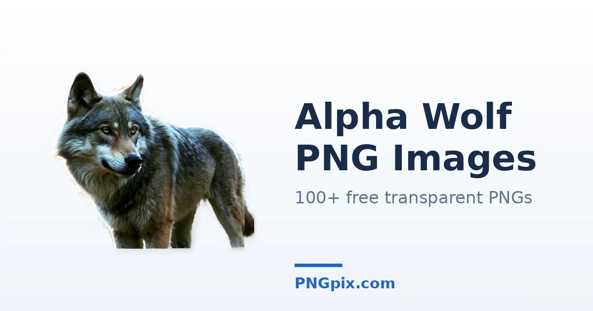 Alpha Wolf PNG images