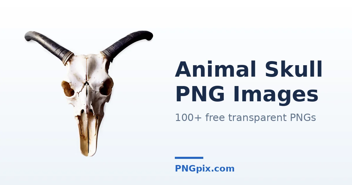 Animal Skull PNG images