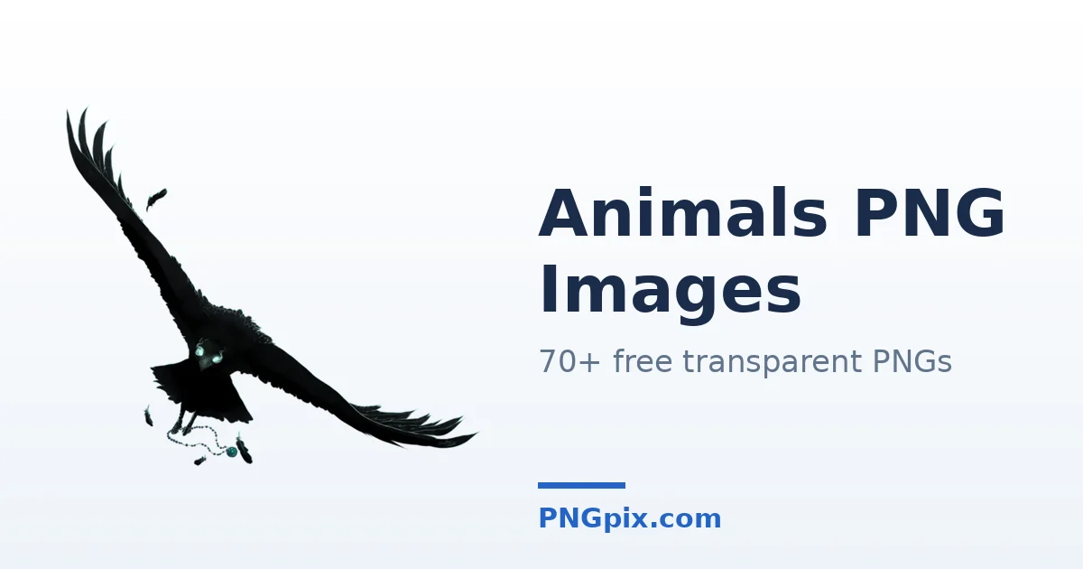 Animals PNG images