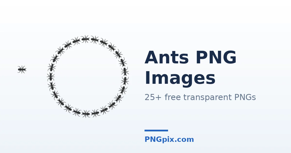 Ants PNG images