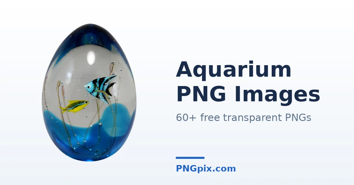 Aquarium PNG images