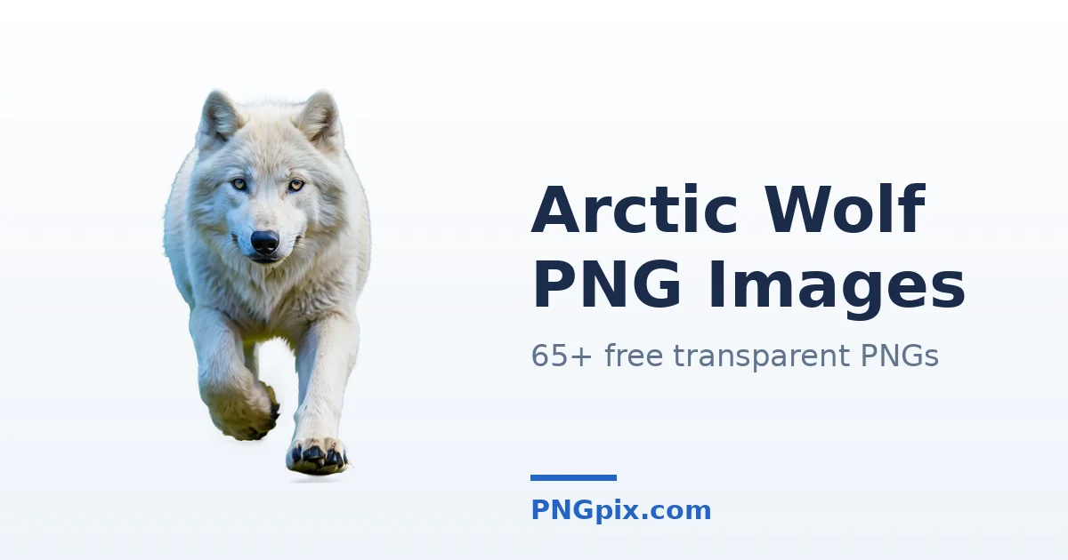 Arctic Wolf PNG images