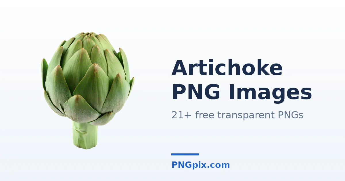 Artichoke PNG images