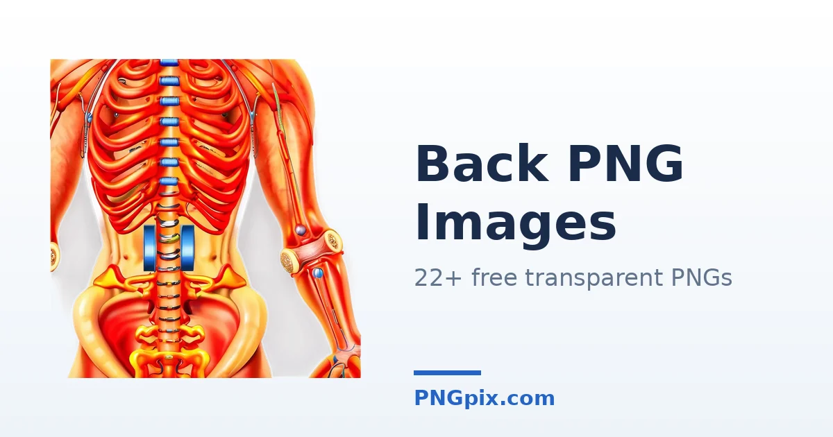 Back PNG images