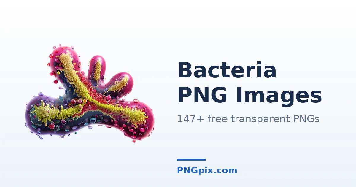 Bacteria PNG images