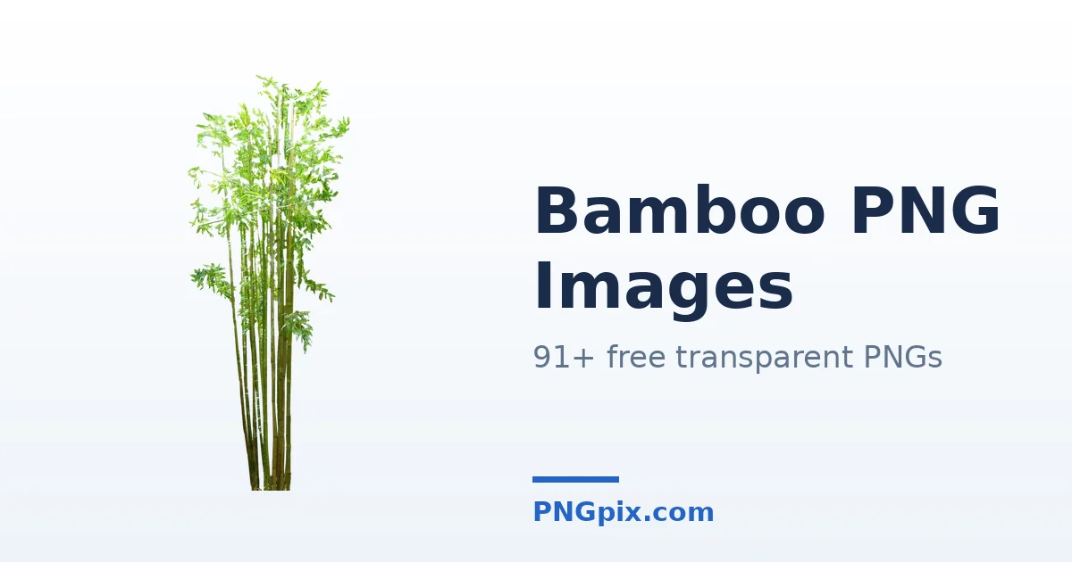 Bamboo PNG images