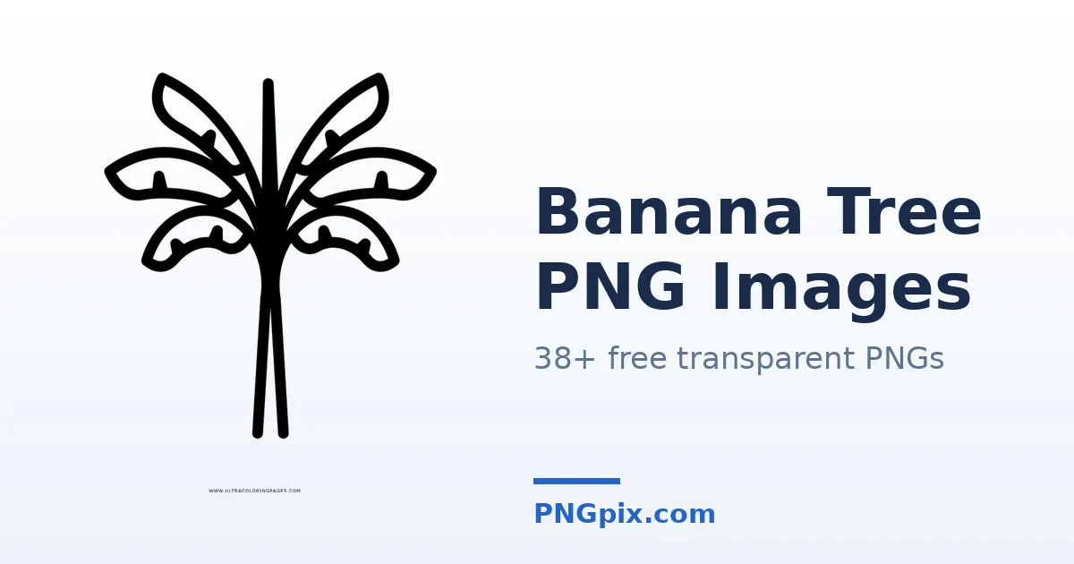 Banana Tree PNG images