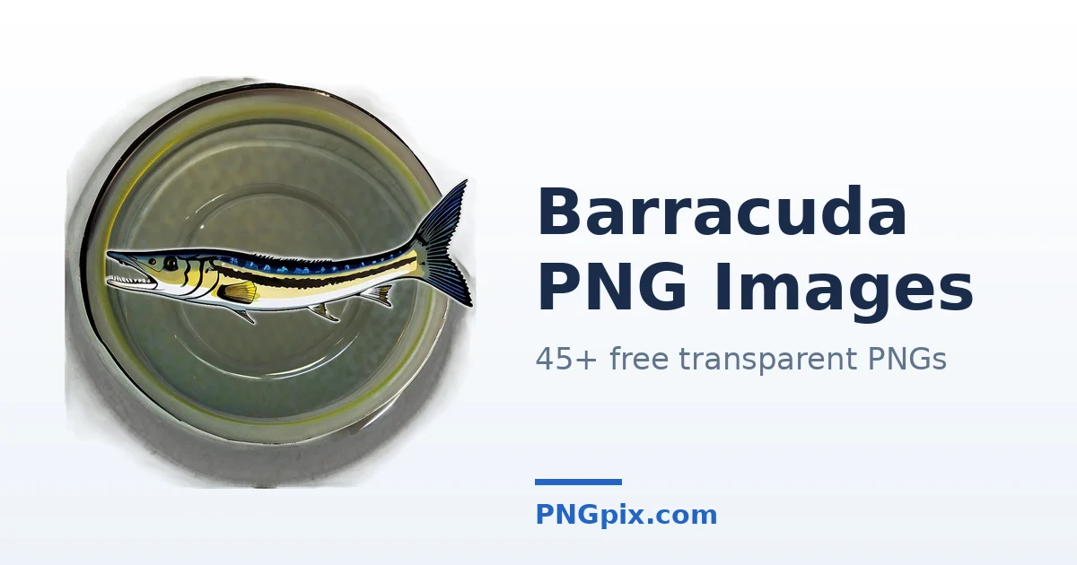 Barracuda PNG images